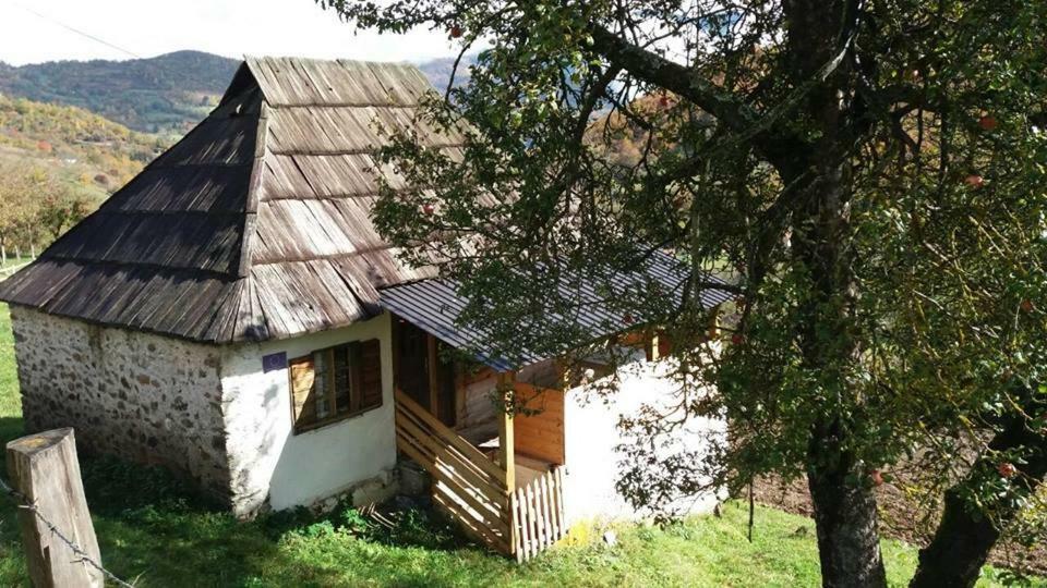 Household Babovic - Old House Miljan'S Valley Andrijevica Exterior foto